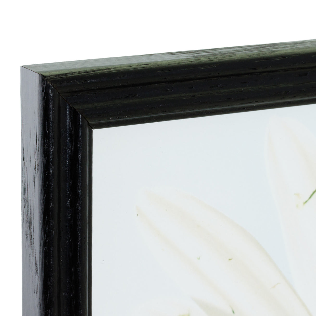 Wiltshire 200 .75", Ebony Picture Frames - 2 Piece Set