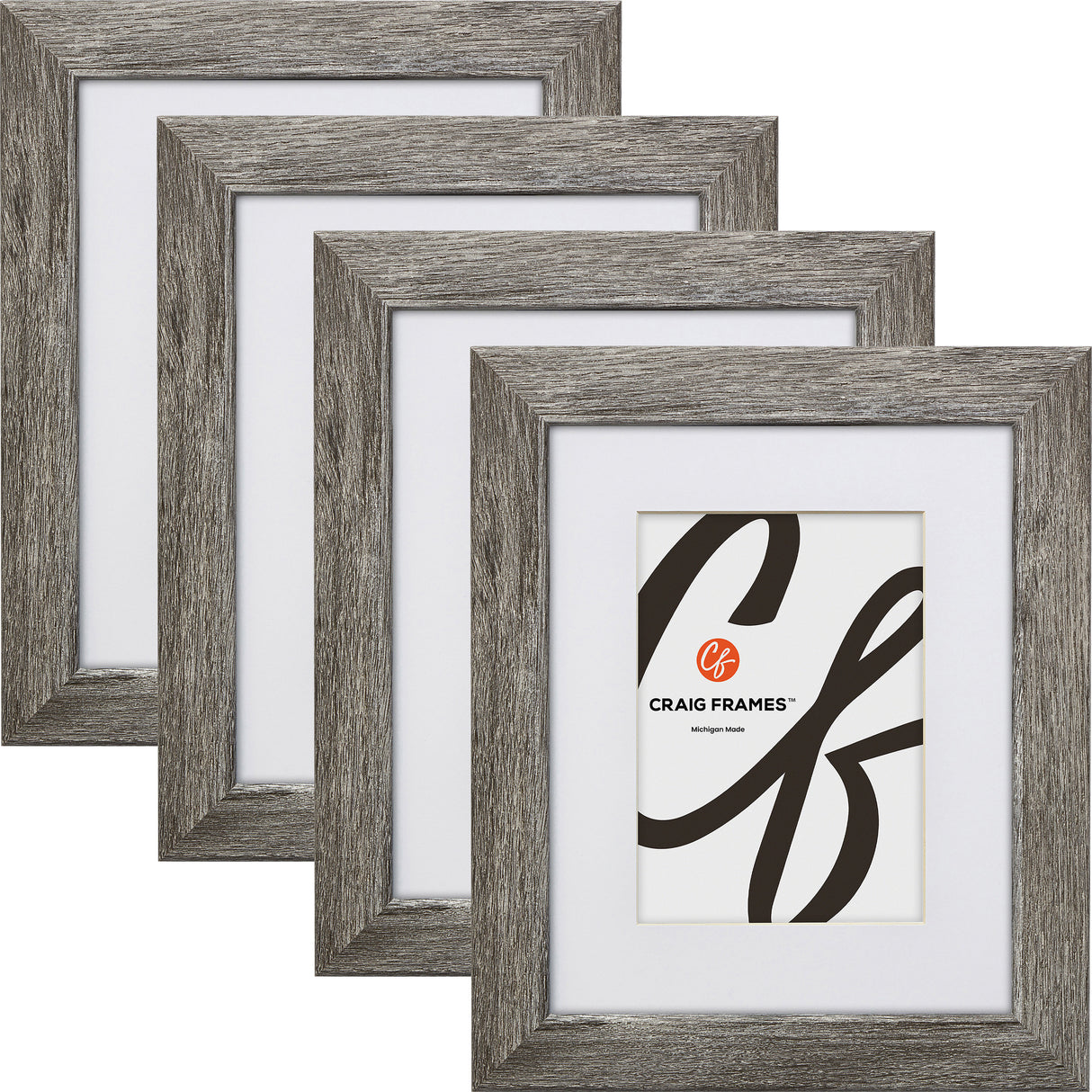 Bauhaus 125 1.25", Matted Barnwood Gray Picture Frame - 4 Piece Set
