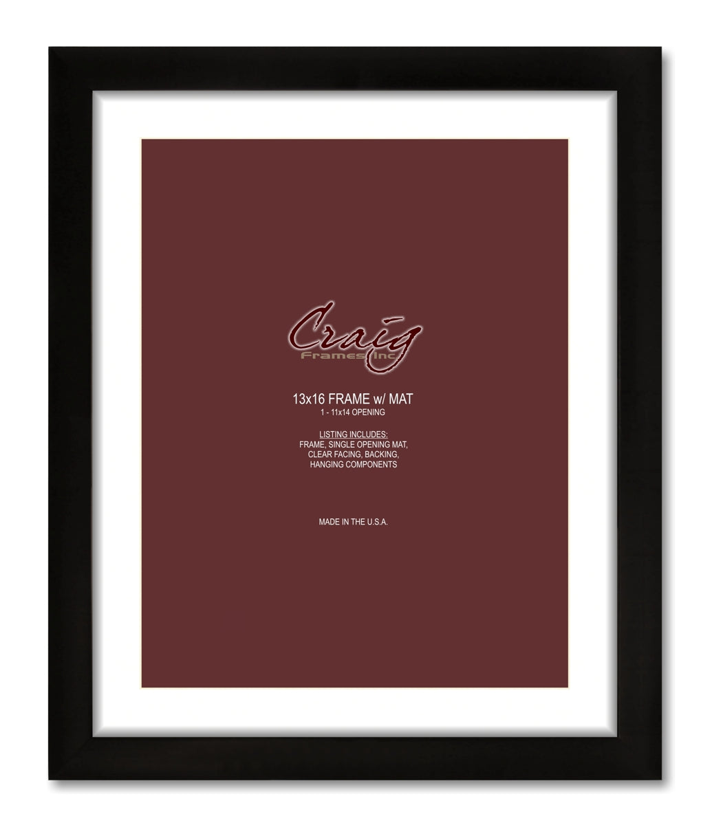 Matted Picture Frame, With 11x14 Opening and 1" Border
