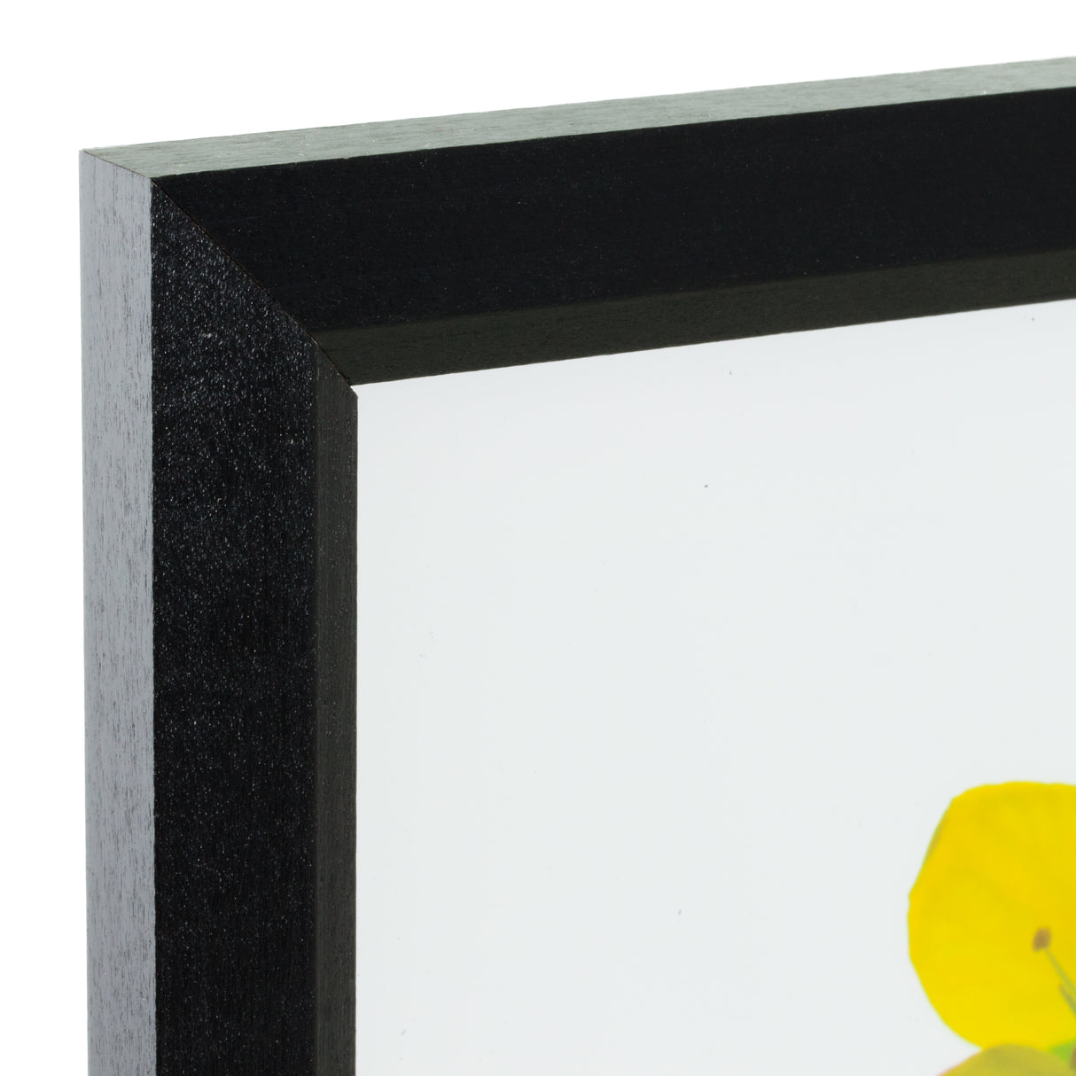 Economy .875", Ebony Hardwood Picture Frames - 4 Piece Set