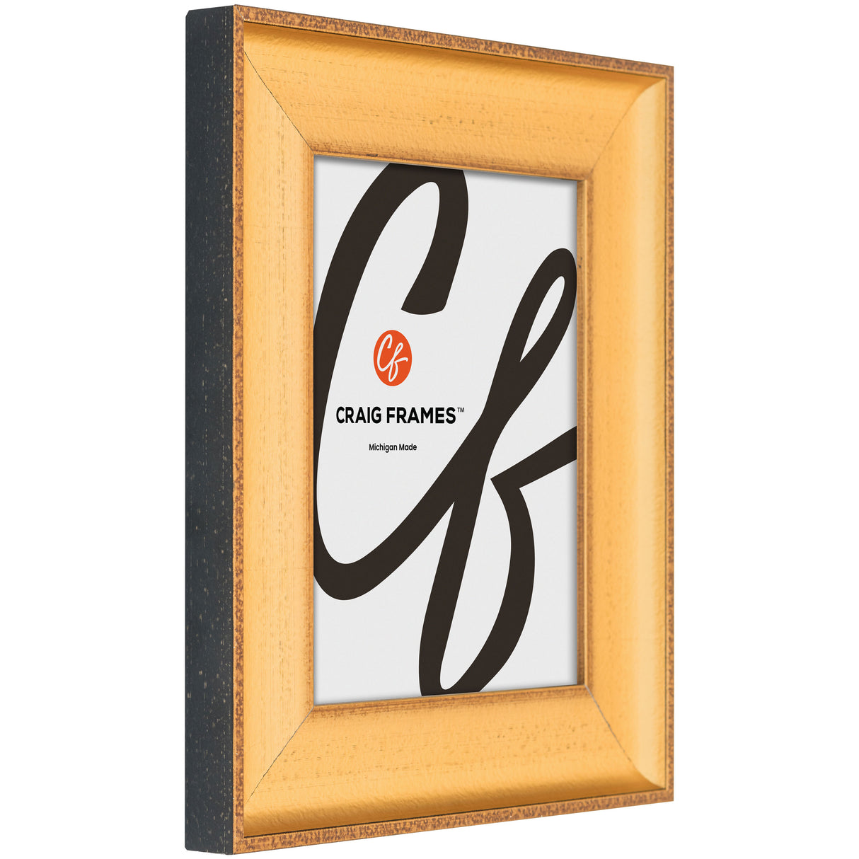 Cairo 2.375", Matted Gold Picture Frame