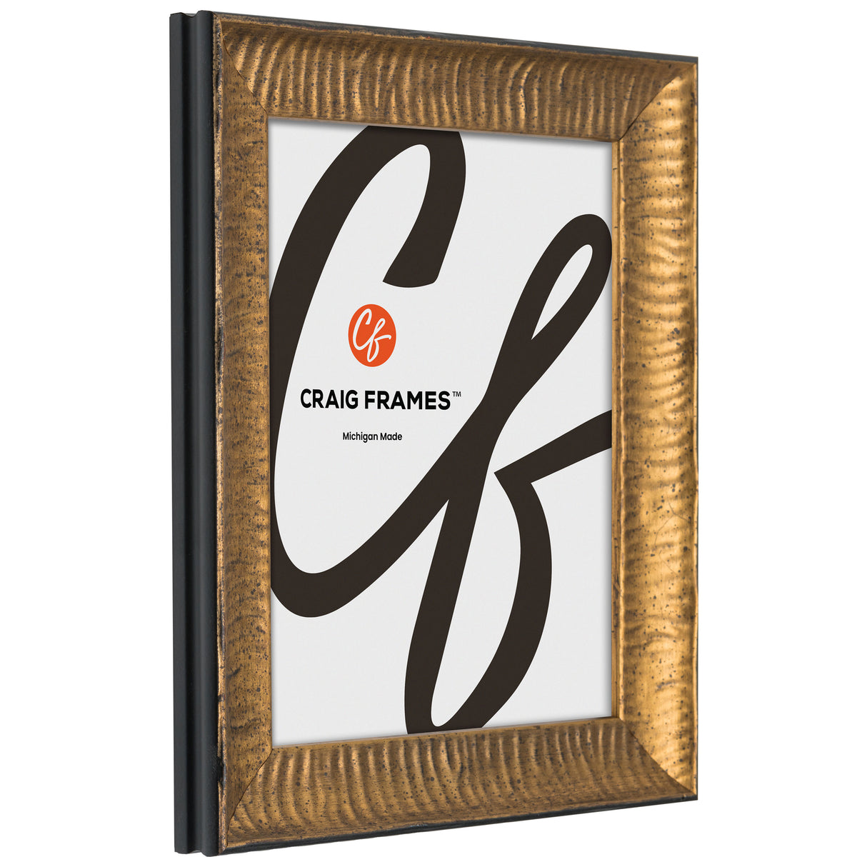 Safari 1.5", Gold Picture Frame