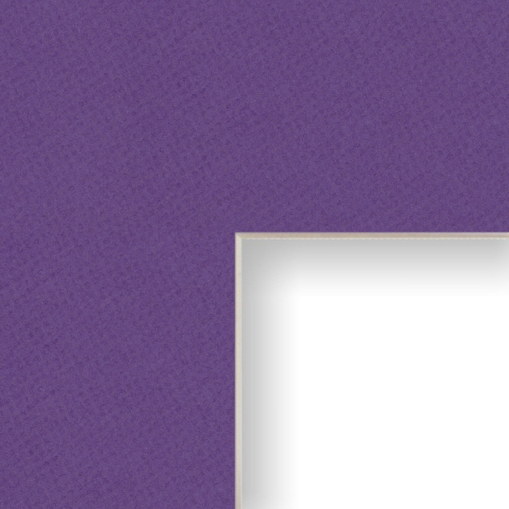 Purple Iris, Mat
