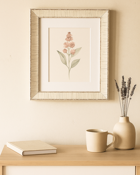 White Picture Frames