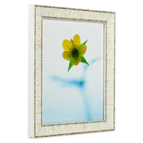 Marea 1.125", Birch Bark Picture Frame