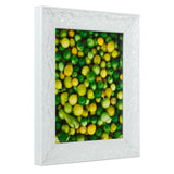 Renaissance 1.75", Pearl White Picture Frame