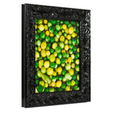 Renaissance 1.75", Obsidian Black Picture Frame