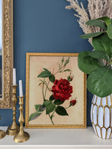 Versailles 1", Matted Ornate Gold Picture Frame