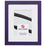 Confetti .875", Matted Purple Picture Frame