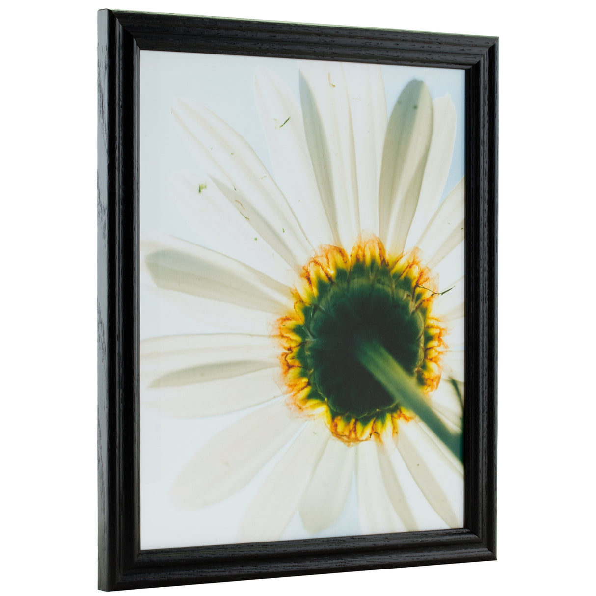 Wiltshire 200 .75", Ebony Picture Frame