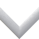 Contemporary 1", Matted Brushed Silver Picture Frame
