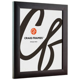Contemporary 1", Brazilian Walnut Picture Frames - 2 Piece Set