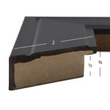 Contemporary Inspirations 2", Satin Black Picture Frame