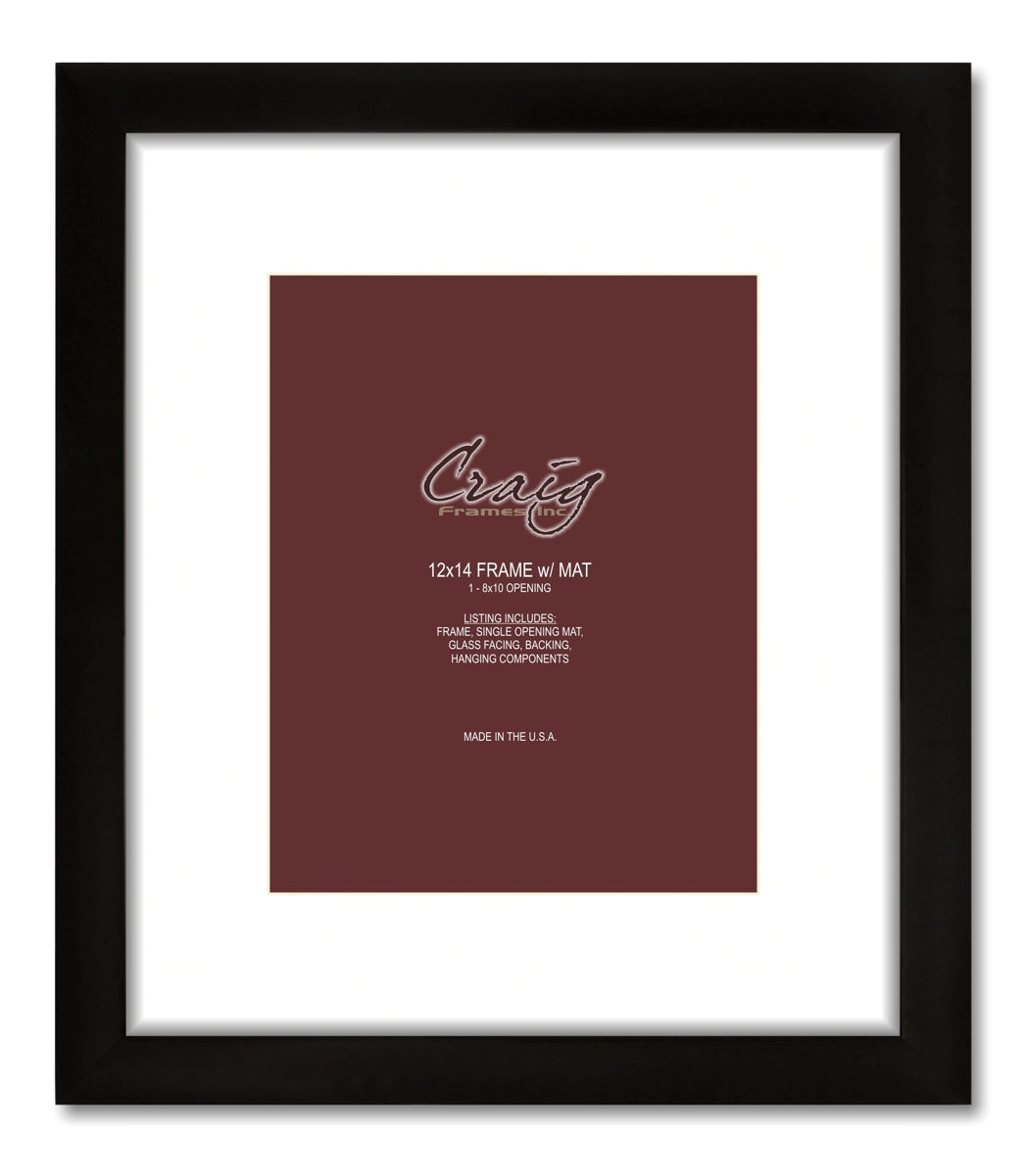 Matted Picture Frame, With 8x10 Opening and 2" Border