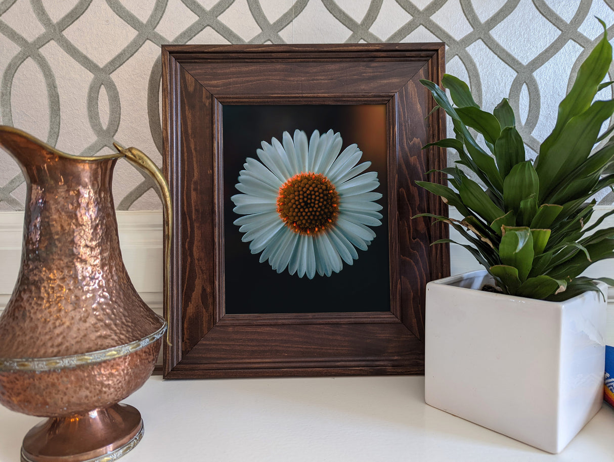 Burbank 2.75", Walnut Brown Picture Frame