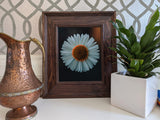 Burbank 2.75", Walnut Brown Picture Frame