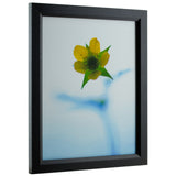 Economy .875", Ebony Hardwood Picture Frame