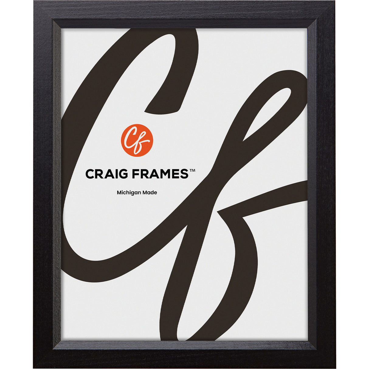 Economy .875", Ebony Hardwood Picture Frames - 4 Piece Set