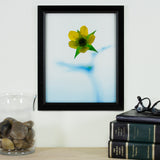 Economy .875", Matted Ebony Hardwood Picture Frame
