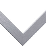 Essentials 1", Modern Brushed Silver Matted Picture Frame