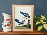 Farmhouse Essentials 1.25", Nordic Oak Natural Matted Picture Frame