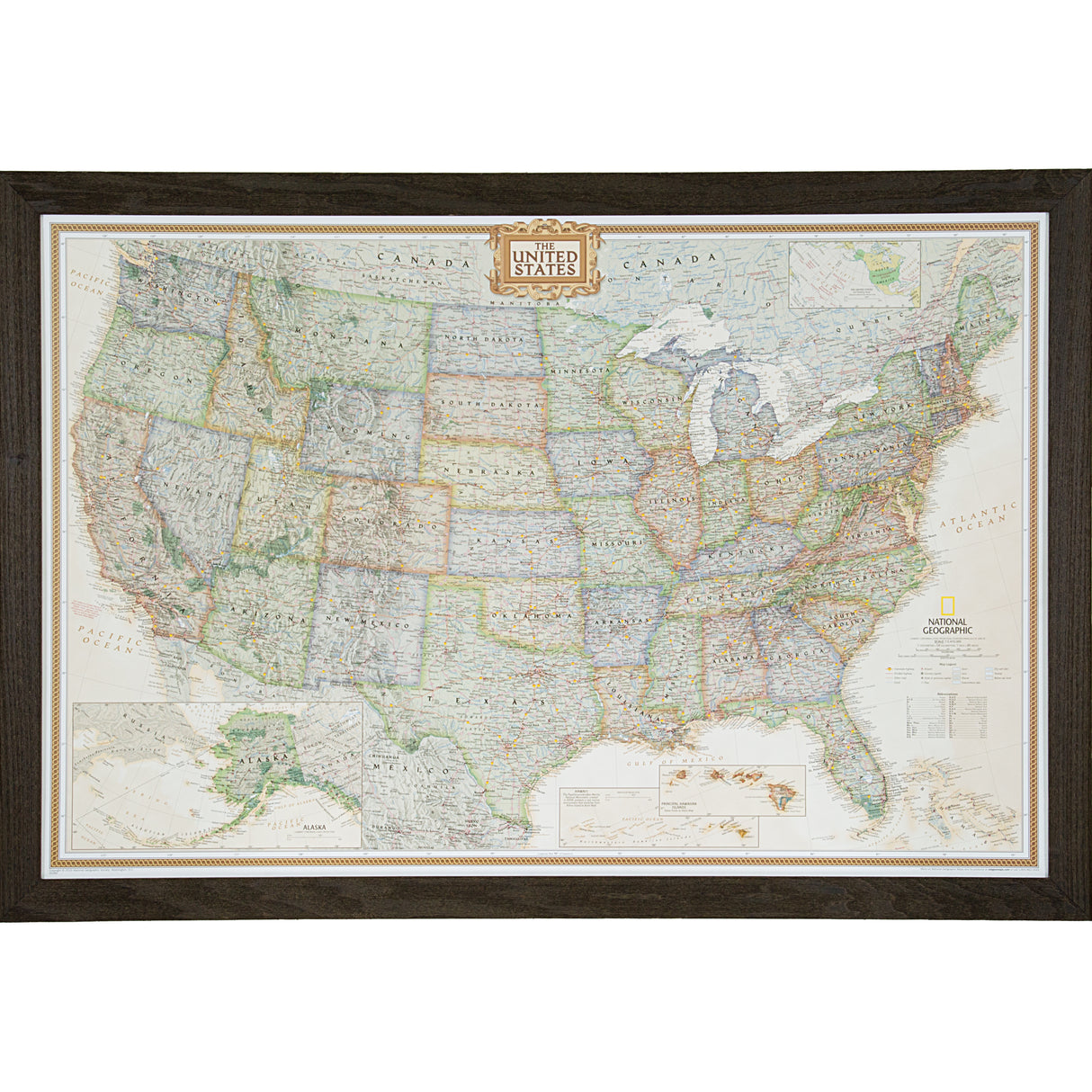Executive United States Push Pin Map – Driftwood Black