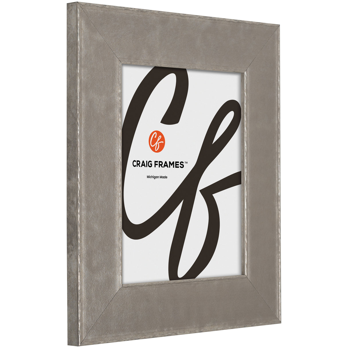 Starlight 2.5", Matted Silver Picture Frame