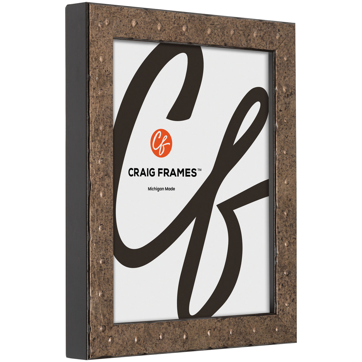 Rivet 1.25", Matted Pitted Steel Picture Frame