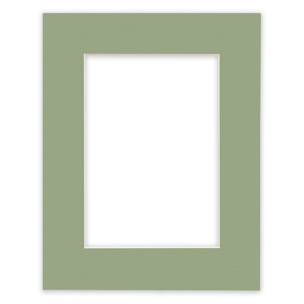 Palm, Mat