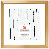 Modern Aesthetics 125 1.25", Brushed Gold Matted Picture Frame