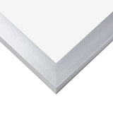 Modern Aesthetics 125 1.25", Brushed Silver Matted Picture Frame