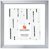 Modern Aesthetics 125 1.25", Brushed Silver Matted Picture Frame