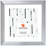 Modern Aesthetics 150 1.5", Brushed Silver Matted Picture Frame